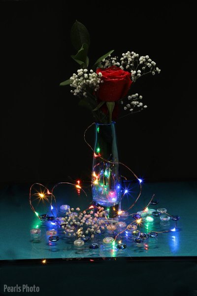 lights-scaled